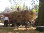 2009 09 26 Backtag mit Erntemarkt  den historischen Landmaschinen und H fechronik 023